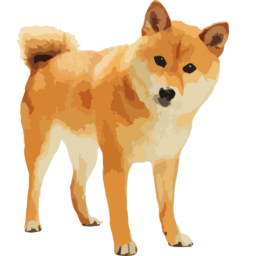 StockShiba User Privacy, Stockshiba Cookie Policy