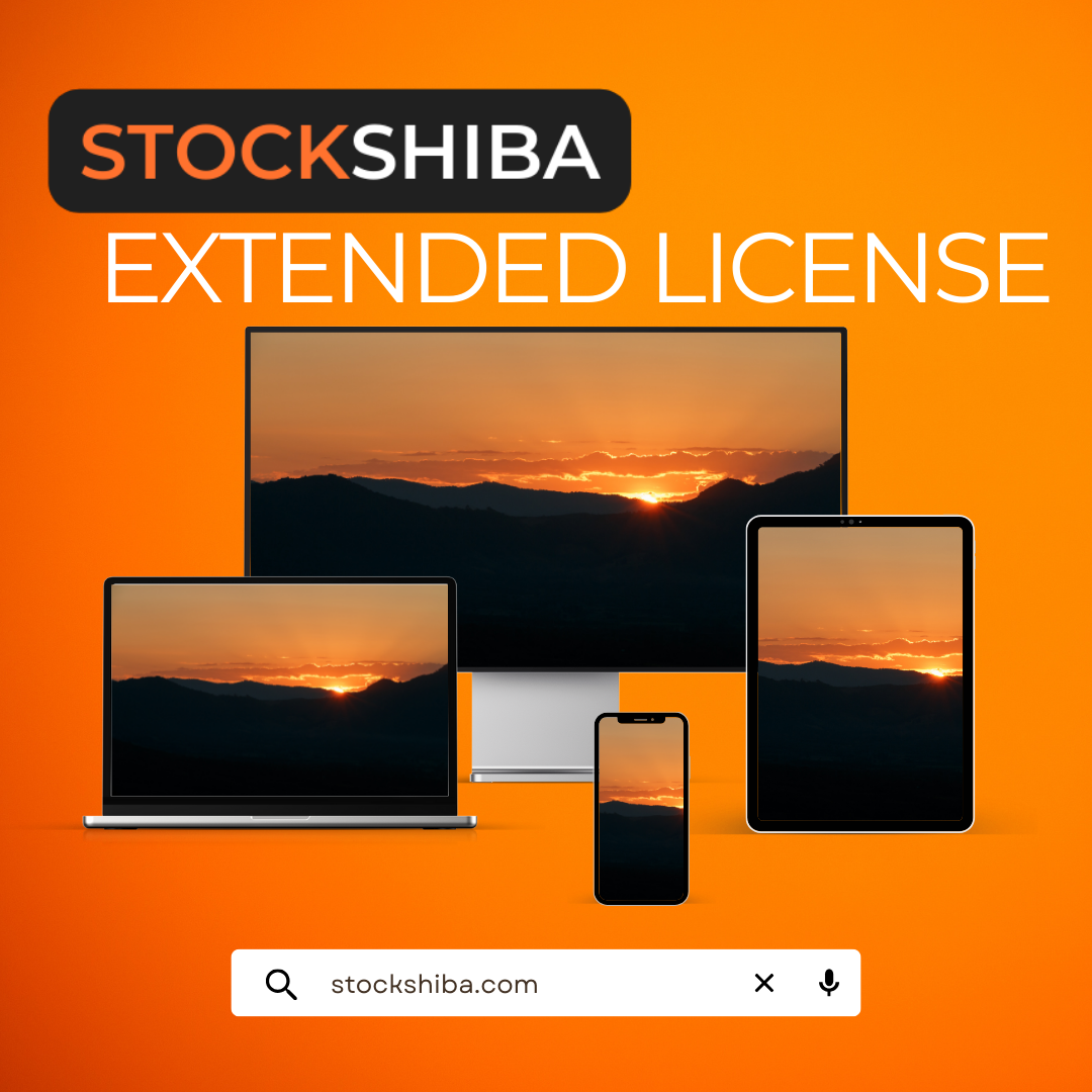 StockShiba Services, Stock Media Solutions